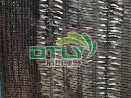 平织75%大棚遮阳网
